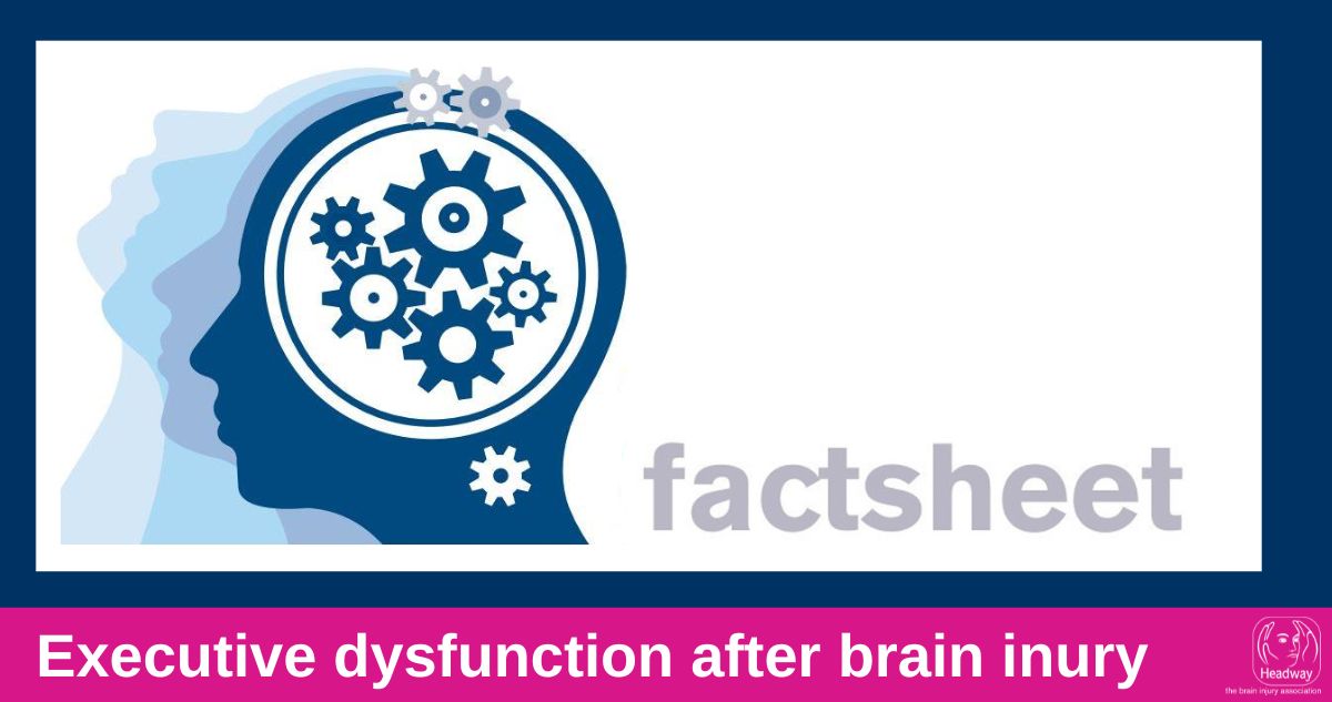 Launch of revised factsheet for executive dysfunction after brain