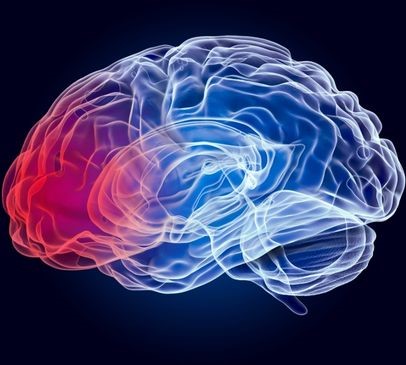 Study finds concussion 'worsens brain function' | Headway Study finds concussion 'worsens brain function' | Headway