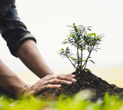 New factsheet on post-traumatic growth Main Image