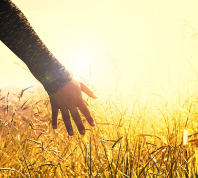 Quality of life after TBI explored in new research Main Image