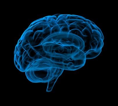 New NICE guideline on brain injury rehabilitation offers ‘clear roadmap for change’ Main Image