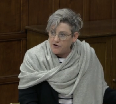 Government's action plan delayed again as parliament debates brain injury Main Image