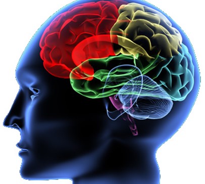 7 signs of executive dysfunction after brain injury Main Image