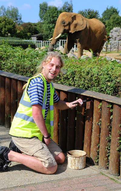 Oliver has returned to working at the zoo