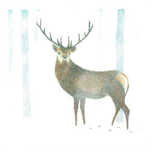 Talented Rodney wins Christmas card competition Main Image