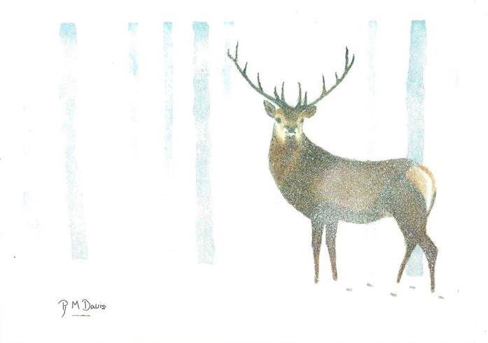 The winning design features a deer standing against a snowy tree scene