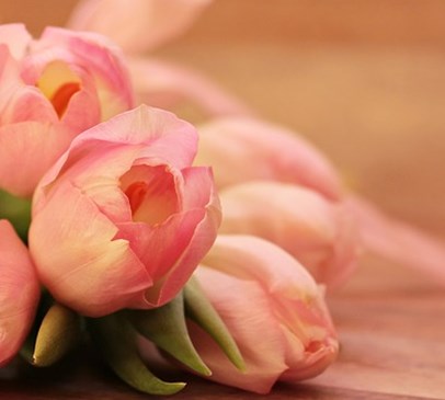 When I'm gone: Addressing the fears of ageing carers Main Image