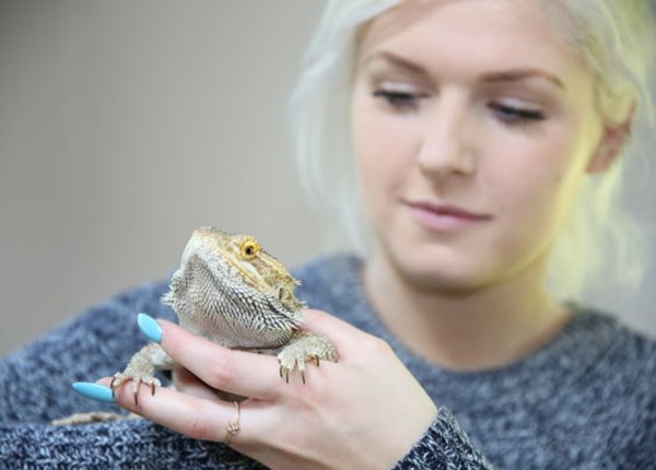 Headway Exhibition: Jessica