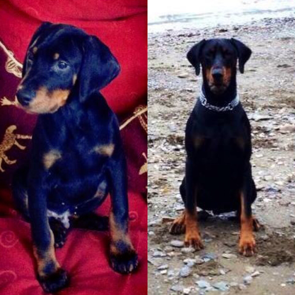 Lister isn't so little any more!