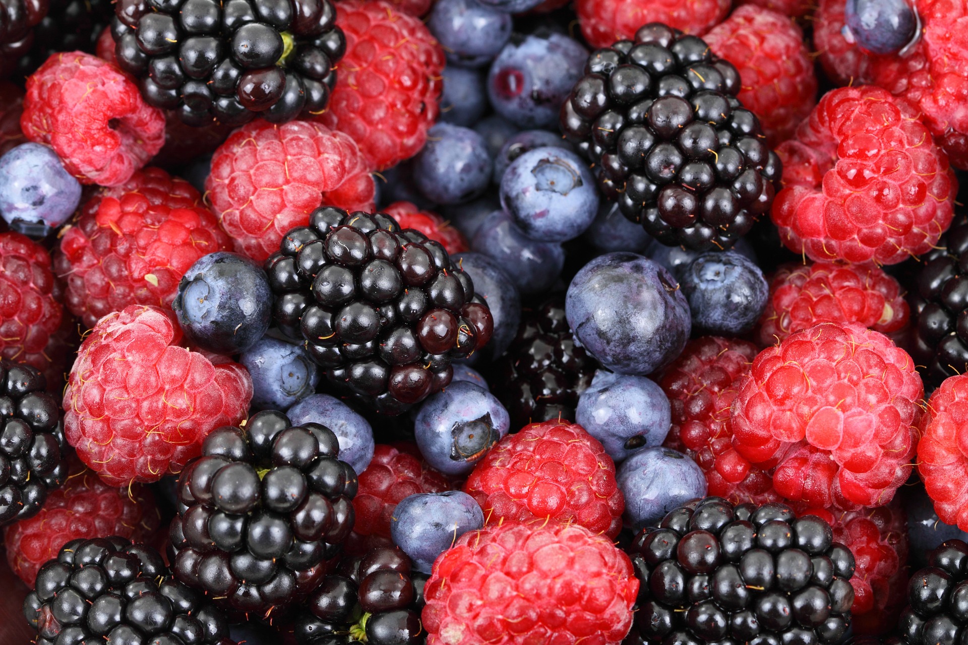 A collection of berries