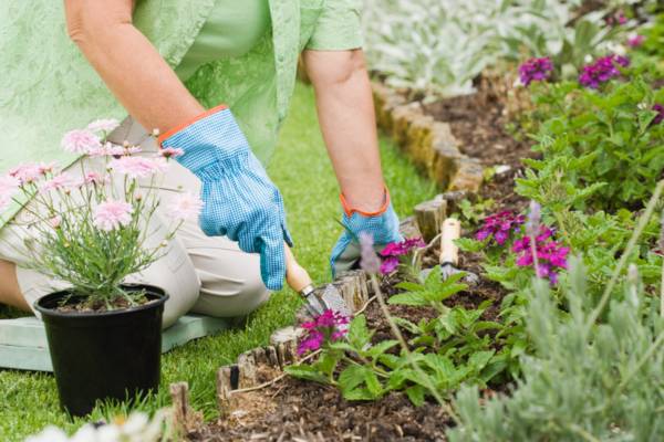 Blooming after brain injury - gardening top tips Main Image