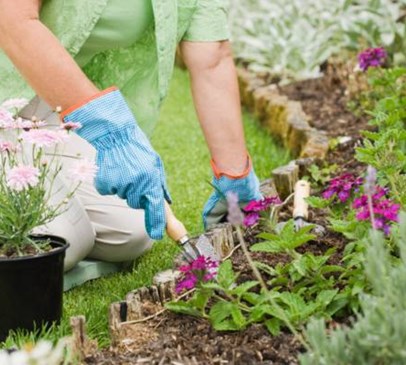 Blooming after brain injury - gardening top tips Main Image