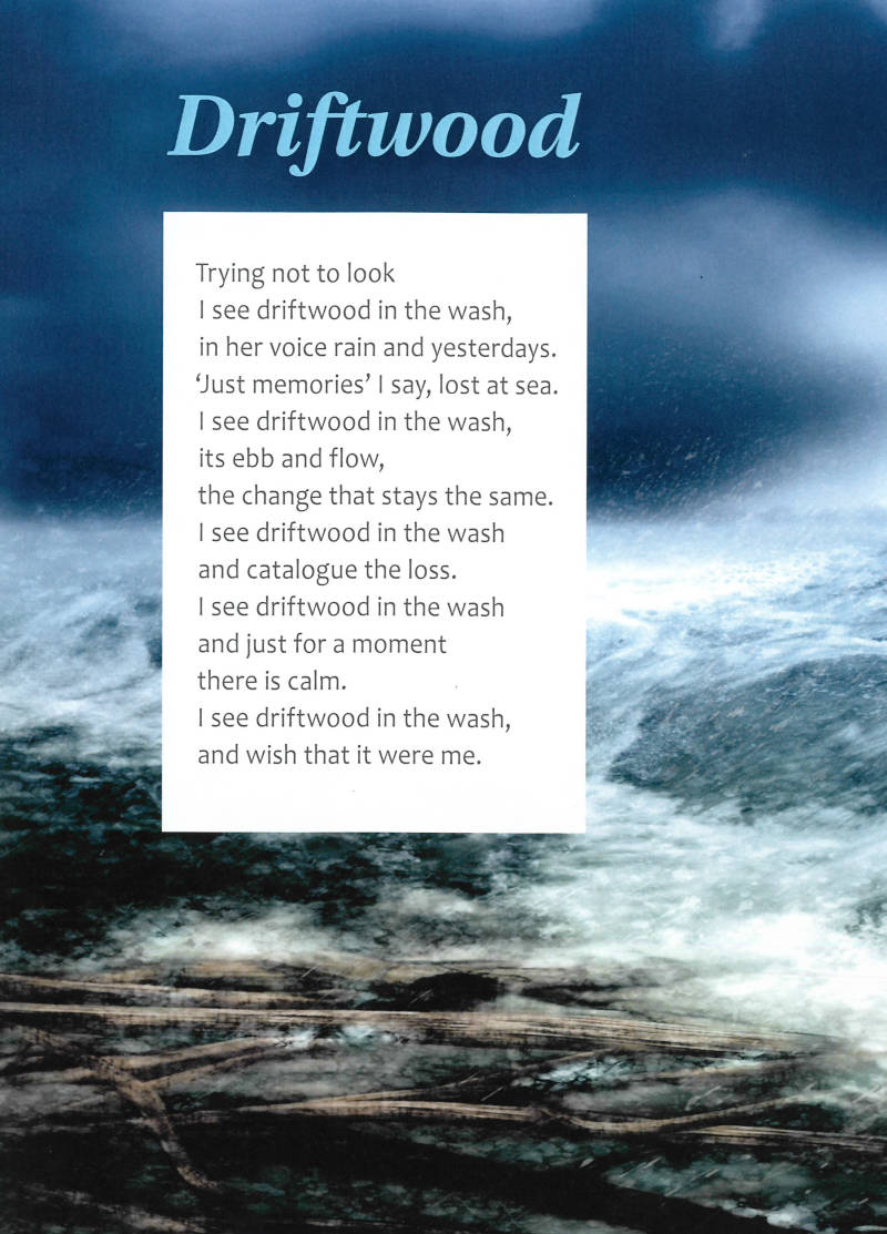 Driftwood, by Phillip Owen