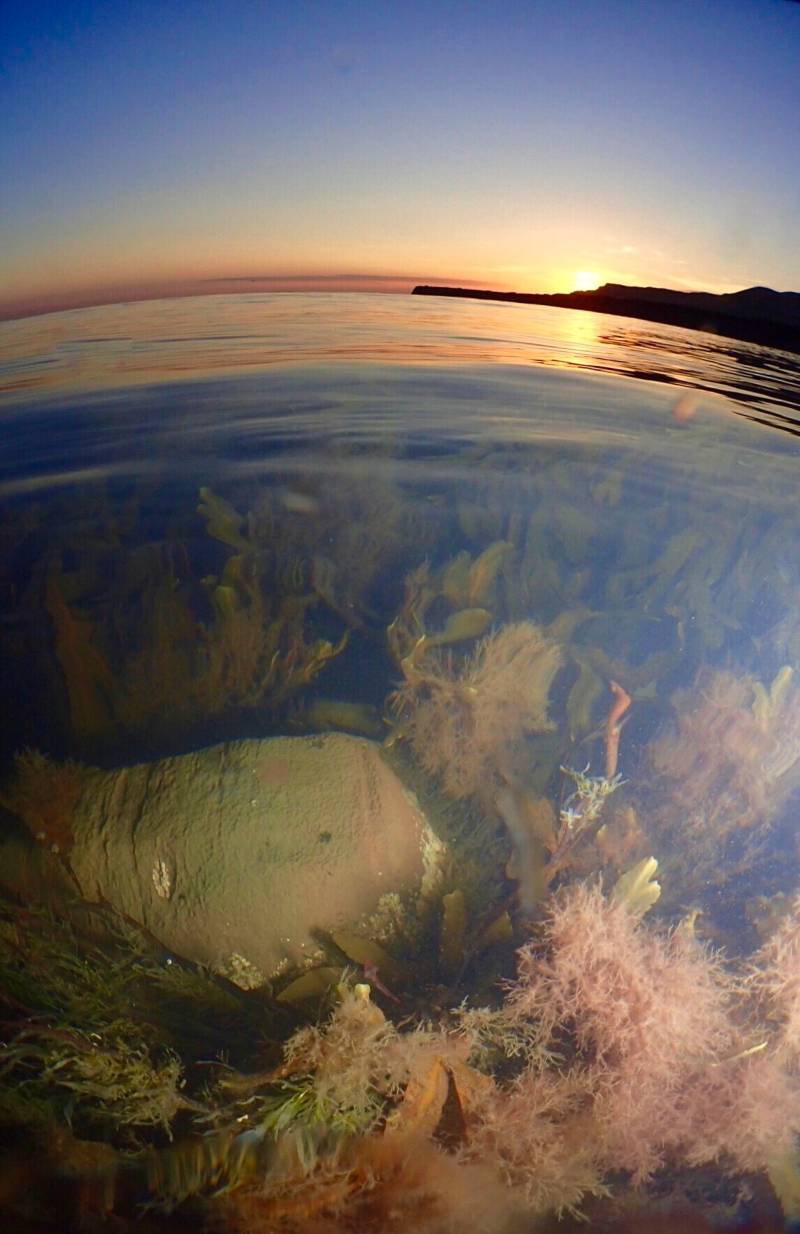 Photo of the ocean