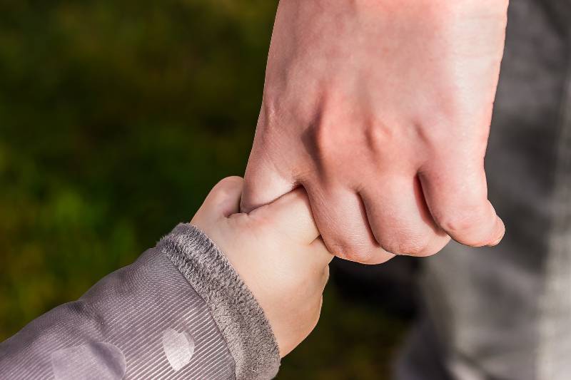 a child holding an adult's hand
