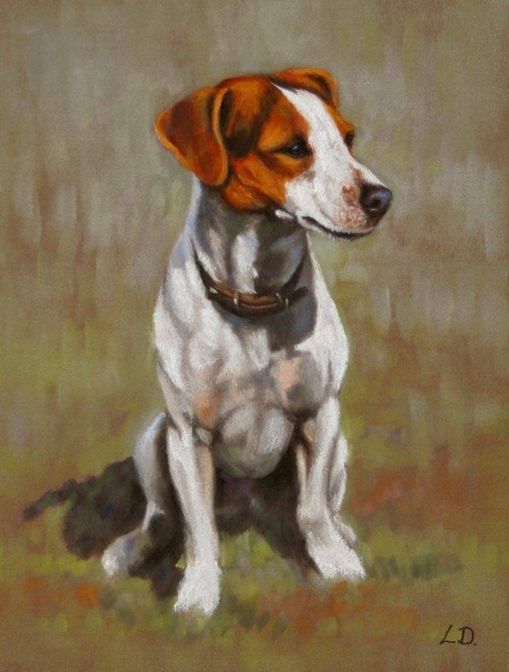 dog drawing