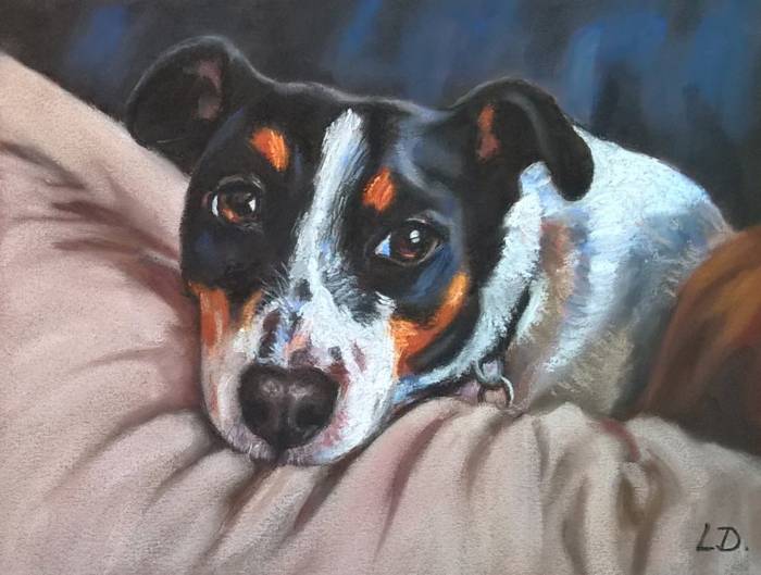 Dog drawing