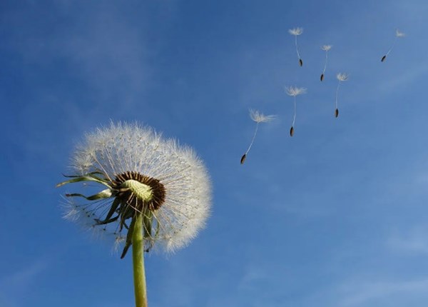 Mindfulness and me