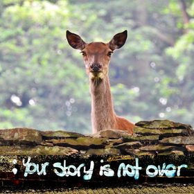 Your story is not over by Rob Dinwoodie