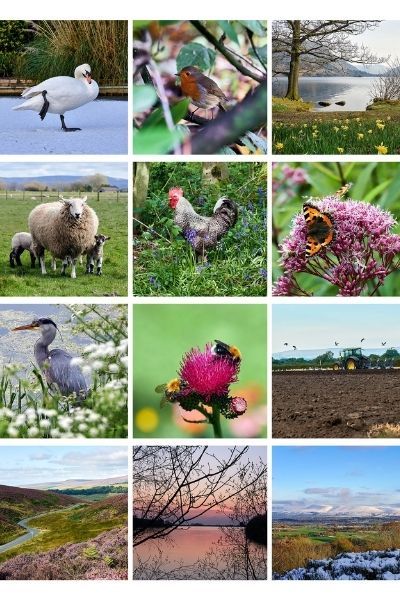 The beautiful Headway Central Lanarkshire calendar