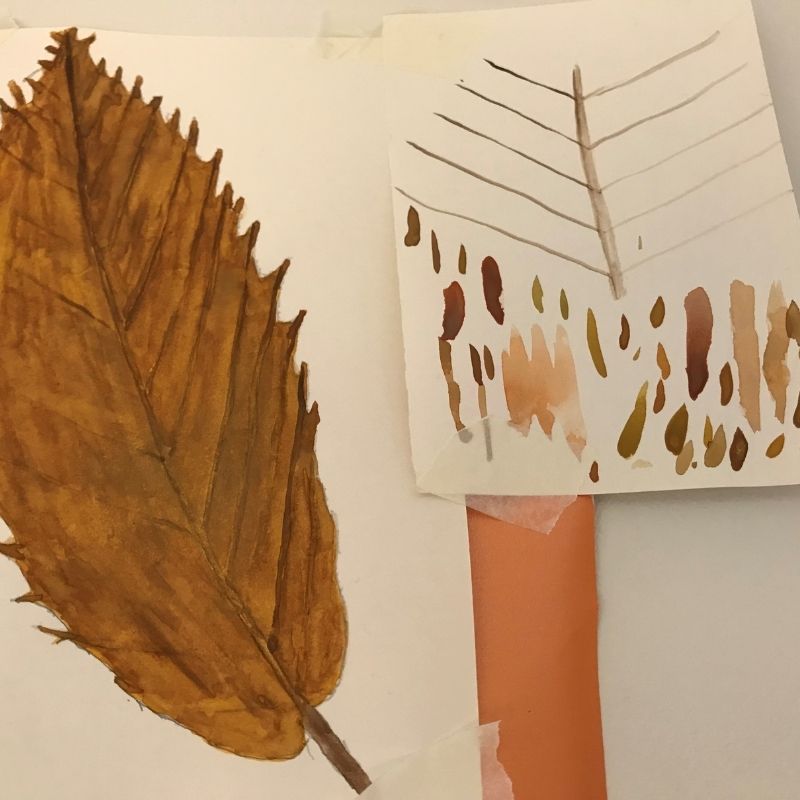 Leaf drawings were just one of the projects at the Headway Shropshire art group